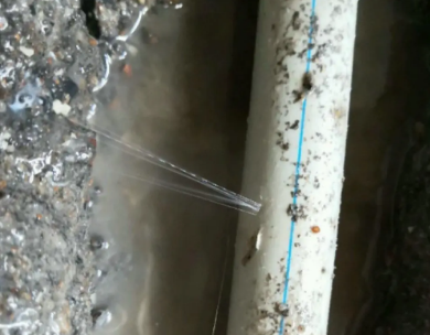 盘锦市测漏水哪家好