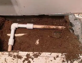 盘锦市测漏水哪家好