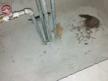 盘锦市卫生间测漏水价格明细