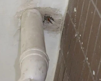 盘锦市漏水检测哪家好